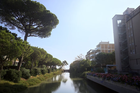 Brook in an Italian town by the seaside passing between a grove and buildingsの写真素材