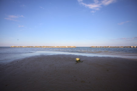 Buoy lying on the beach during a low tide at sunset