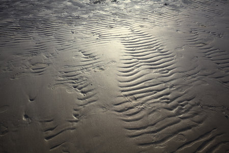 Wave marks on the sand and the sunlight reflected on it