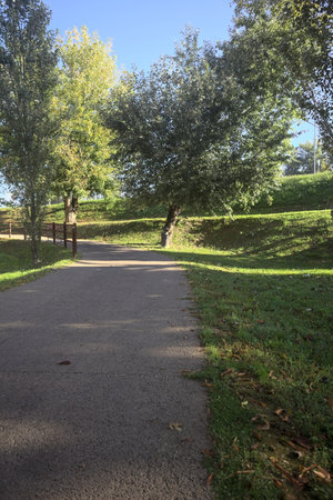 Paved trail bordered by trees next to an embankment on a sunny day