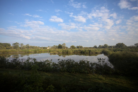 Pond bordered by reeds with fields behind it and houses in the distance and the sky cast on the...