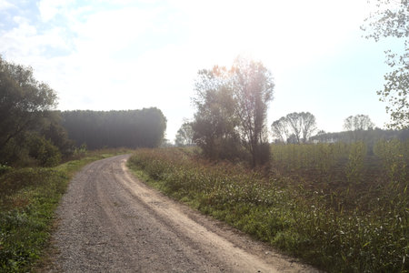 Counterlit path on an embankment in the Italian countryside with a grove in the background