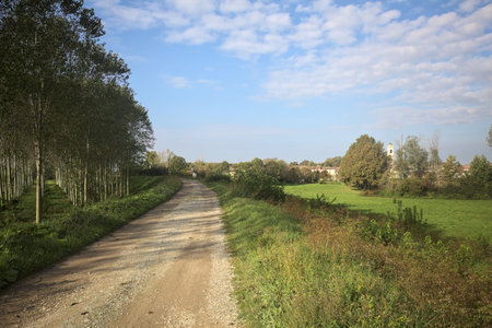 Trail on an embankment with a tree plantation on the left of it and a village with a bell tower framed by trees on a sunny day in the Italian countrysideの写真素材