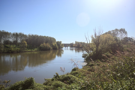 River between groves on embankments by its banks with a bridge passing over the water in the...