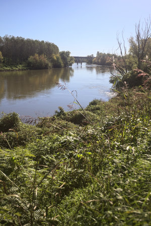 River between groves on embankments by its banks with a bridge passing over the water in the...