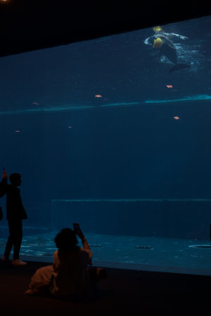 Dimly lit room with people sitting and standing next to a glass watching dolphins in a pool of an...