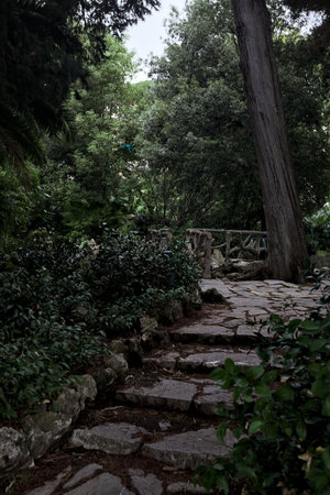 Pond with stone bridges and wooden rails in the shade in a secluded area of a park