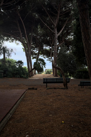 A park with benches and a path leading towards the sea in the backgroundの写真素材