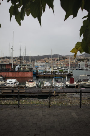 Genoa, Italy - 30TH OCTOBER 2025 - Seafront on a rainy day with moored boats framed by trees in the shadeのeditorial素材