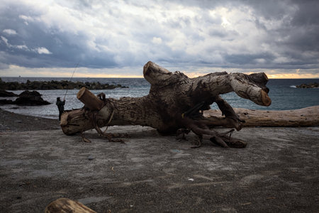Driftwood on a concrete balcony by the beach on a cloudy day at twilight