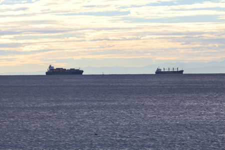 Cargo ships and oil tankers on the horizon at sunset by the sea