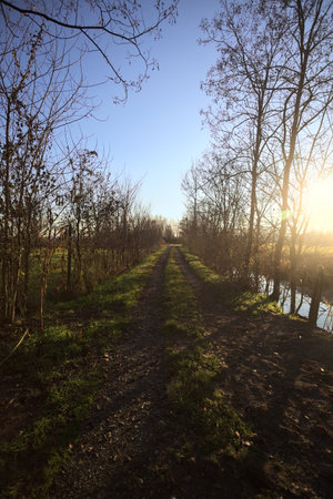 Trail at sunset, bordered by bare trees and trench with water
