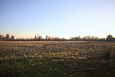 Plowed field bordered by bare trees in the distance, in the Italian countryside at sunsetの写真素材