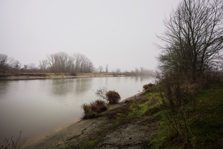 Bank of a river on a foggy day, with bare trees cast in the water