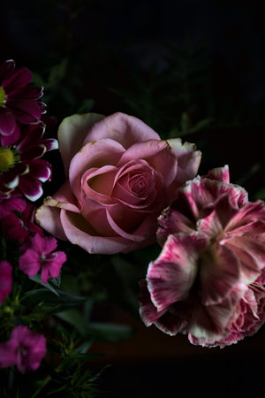 Pink toned bouquet with a pink rose, a pink gerbera and carnations in purple and pink, seen up close, on a dark backgroundの写真素材