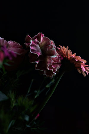 Pink toned bouquet with a pink rose, a pink gerbera and carnations in purple and pink, seen up...