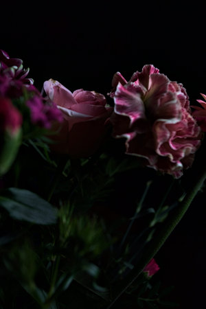 Pink toned bouquet with a pink rose, a pink gerbera and carnations in purple and pink, seen up close, on a dark backgroundの写真素材