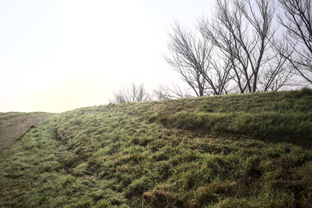 Dirt road over an embankment, bordered by trees, with a plowed field under it, stretching to the...