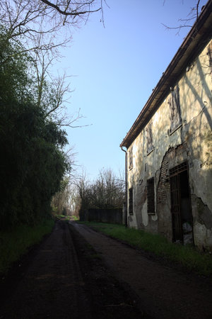 Abandoned and worn out house, by the edge of a dirt trail, partially in the shade cast by trees, on a sunny day in the Italian countrysideの写真素材