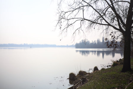 Forest by the lakeshore in winter, with bare trees reflected in the water, seen from afar,...