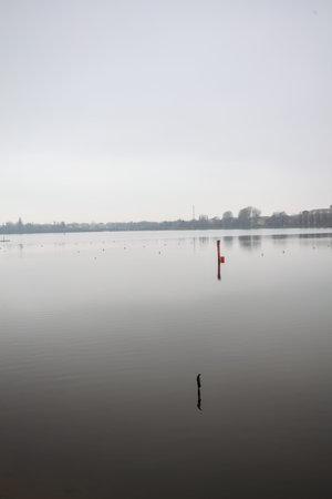 Lake with poles on it, on a cloudy day, with a park on the opposite shore, and the sky cast in the...