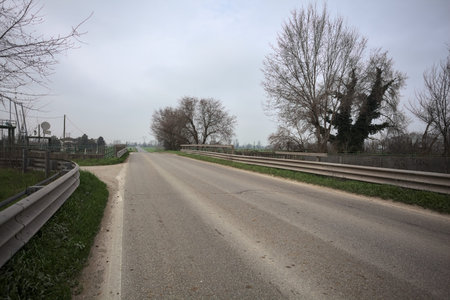 Country road over an embankment, with a few trees by the edge of the road, in the Italian...