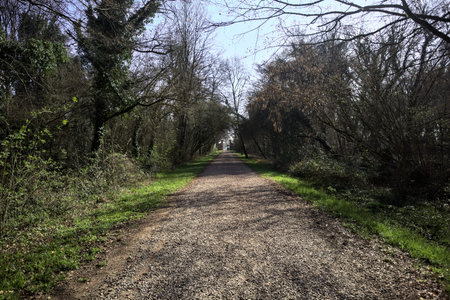 Gravel trail in a park between patches of trees, leading to a gate at the end of it, on a sunny day...