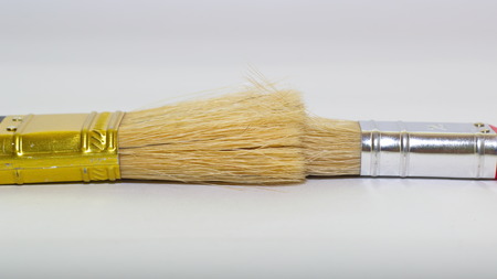 brush for painting