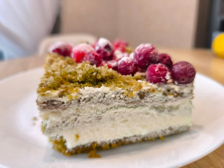 Cottage cheese sponge cake with cranberries on a plate. High quality photos