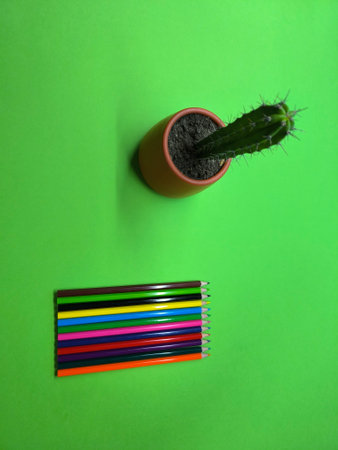 Pencils on a colored piece of paper.の写真素材