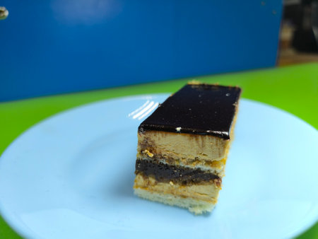 piece of cottage cheese cake on a plate. High quality photosの写真素材