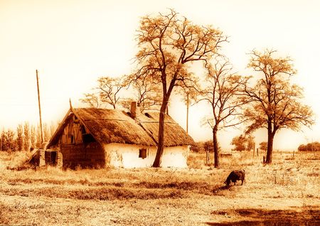 an old house sepia with goat and threesの写真素材