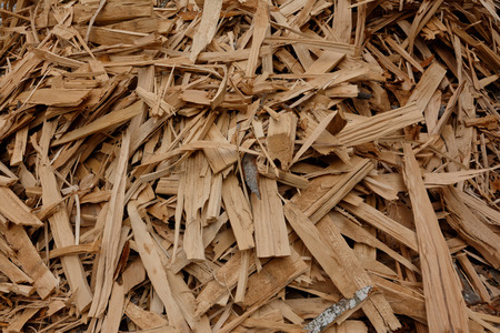Pile of chopped firewood prepared for winter