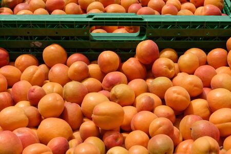 Close up on fresh apricots as backgroundの写真素材