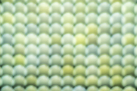 The bright granulated multi-colored structure devoted evenly distributed from a backの写真素材