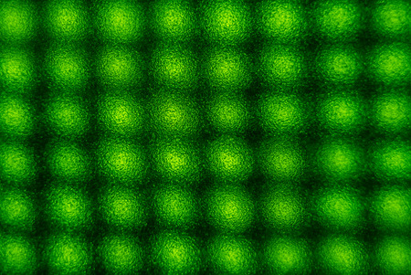 The bright granulated green structure consecrated equally spaced from the back sideの写真素材