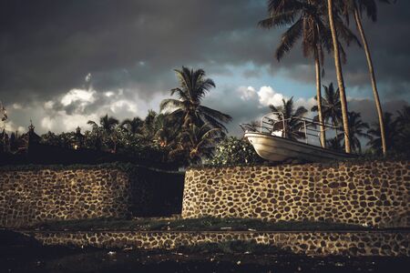 Boat standing on shore in the middle of palm forestの写真素材