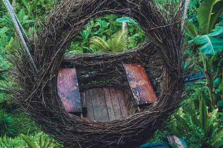 Photo of large bird nest from branches at rice terass in indonesia on bali islandの写真素材