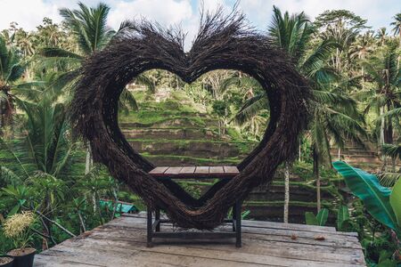 Photo of a large bird nest of heart-shaped branches at a rice terass in Indonesia on the island of Baliの写真素材