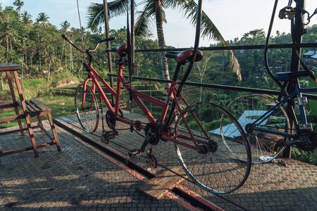 Photo of a structure for cycling a tightrope between two mountains in a rice fieldの写真素材