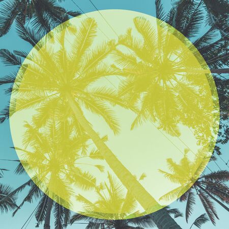 Photo of tall green palm trees against a blue sky with a long wooden trunk in the frameの写真素材
