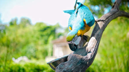 Parrot ara with yellow and blue feathers in its usual habitat with green grass and sprawl sits on a wooden branchの写真素材