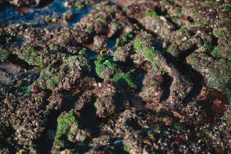 Photograph of an underwater marine colored ship in a sea tide of waterの写真素材