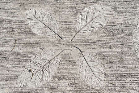Photo of texture of concrete decorated old wall with embossing printing of extruded tropical growth plantの写真素材