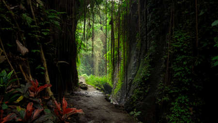 Photo of the cliff on a mountain with the rocks view with green trees in the jungle