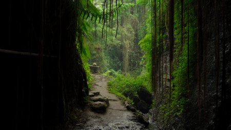 Mawar, Punggul, Kabupetan Badung, Bali, Indonesia - July 28, 2020: A group of religious people perform a mysterious occult rite in a dark caveのeditorial素材