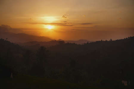 Photograph of sunset above the rainforest with trees, handicaps and smoke