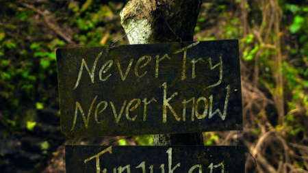 tropical jungle with green plants and trees with the text on the billboard "never try never know"の写真素材