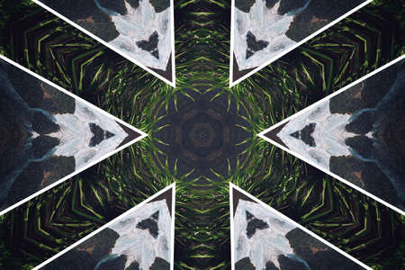 Abstract background from a repeating kaleidoscope view with gray and green dark and bright lines and shapes coming from the centerの写真素材