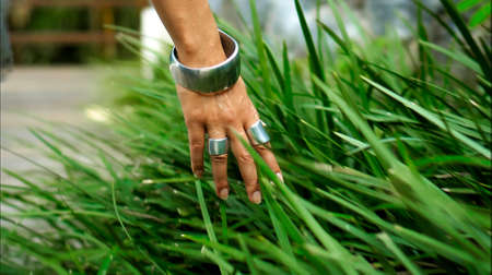 Young European girl's hand with rings and bracelet touches green growing grassの写真素材